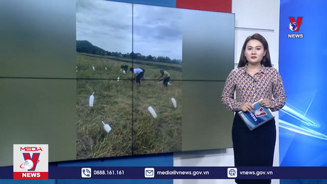 Quảng Bình xử lý nghiêm hành vi săn bắt, bẫy chim hoang dã, di cư 