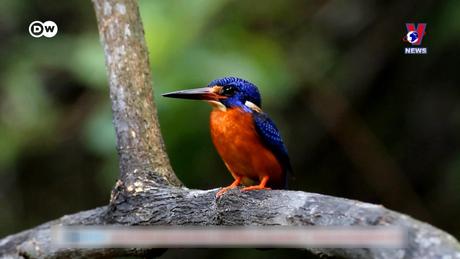 Tạp chí toàn cầu số 808 ngày 24/10/2023