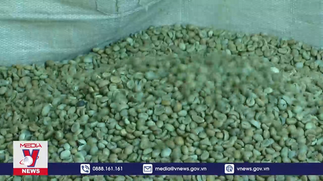 Doanh nghiệp xuất khẩu cà phê cần nguồn vốn đặc thù