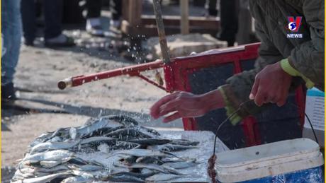 Đường dây nóng 389 ngày 25/10/2023