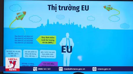 Giải pháp cho doanh nghiệp vừa và nhỏ