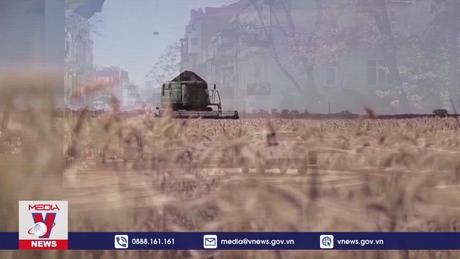 Ukraine tìm cách thiết lập 