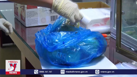 Lào Cai bắt đối tượng vận chuyển hơn 4 kg thuốc phiện