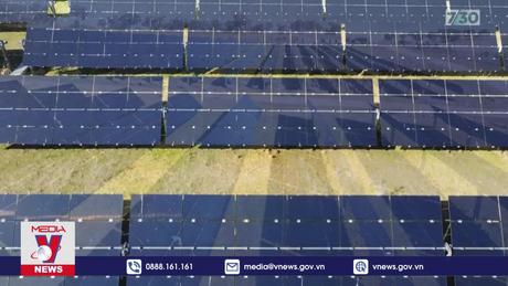 Nhu cầu toàn cầu về năng lượng tái tạo sẽ đạt đỉnh vào năm 2030