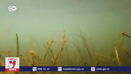 Biển Baltic dần cạn kiệt oxy