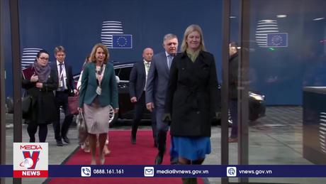 EU chưa đạt đồng thuận về viện trợ Ukraine