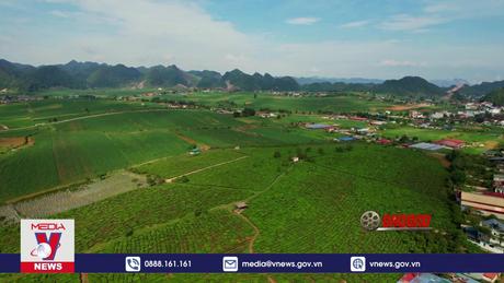 Phim tài liệu: Suối nguồn