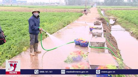 Bài toán giảm xuất khẩu nguyên liệu thô vẫn đang chờ lời giải