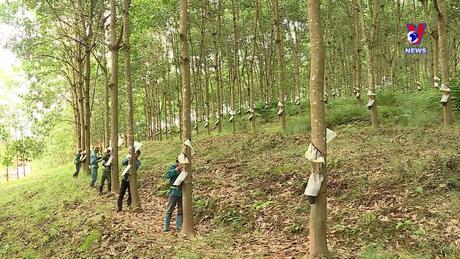 Khoảnh khắc và Sự kiện ngày 28/10/2023