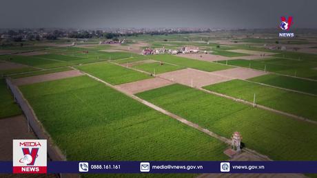 Bản tin Thời sự 6h ngày 28/10/2023