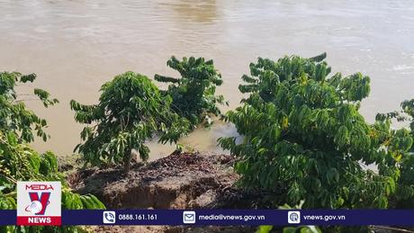 Sạt lở nghiêm trọng tại cánh đồng lớn nhất tỉnh Đắk Nông