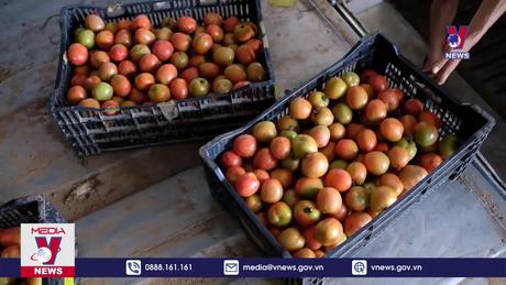 Bản tin Thời sự 13h ngày 29/10/2023