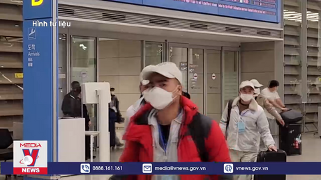 Xử phạt 4 công ty xuất khẩu lao động