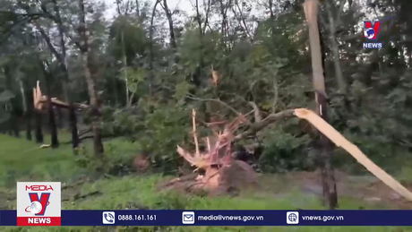 Tố lốc gây thiệt hại tại Bình Phước