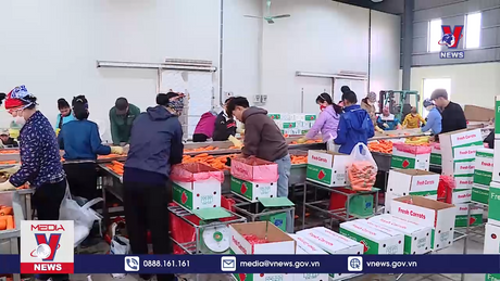 Bản tin thời sự 22h ngày 28/10/2023