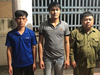 Tạm giữ hình sự 3 đối tượng đột nhập, lấy trộm cây mai vàng giá trị lớn