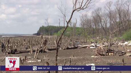 Bến Tre công bố tình huống khẩn cấp sạt lở ở Ba Tri