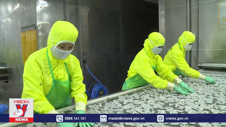 Đảm bảo các yếu tố bền vững của ngành thủy sản