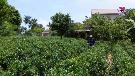 Giảm nghèo bền vững: Lực đẩy giảm nghèo từ chính sách thủy lợi