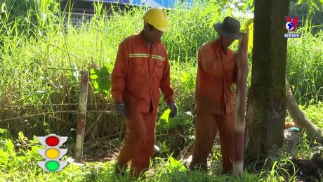 Văn hoá giao thông ngày 31/10/2023