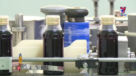 Hỗ trợ pháp lý: Thủ tục đầu tư và vận hành các dự án chuyển dịch năng lượng