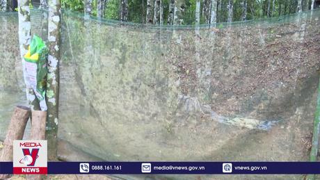 Hà Tĩnh khẩn trương phòng chống dịch bệnh khi nước lũ rút