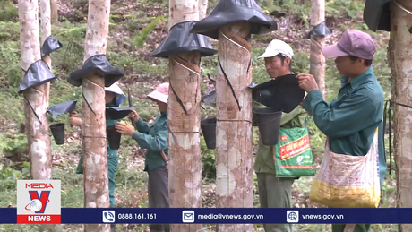  Doanh nghiệp sẵn sàng trước cơ hội đến từ các quy định của châu Âu