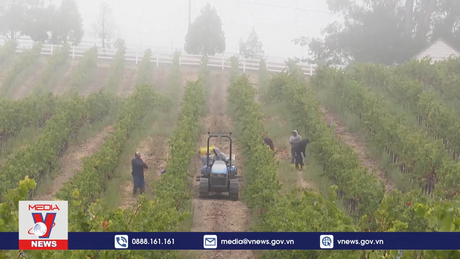 Mỹ đầu tư hơn 5 tỷ USD cho phát triển nông nghiệp