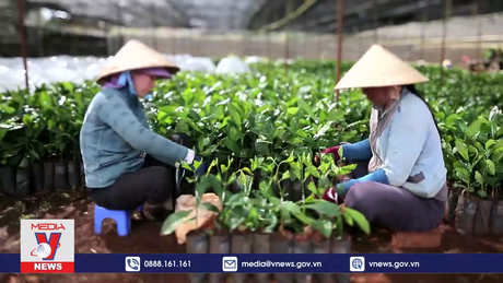 Việt Nam hướng tới nền kinh tế xanh