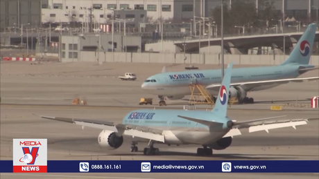 Khả năng sáp nhập hai hãng hàng không lớn nhất Hàn Quốc