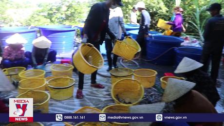 Giá trị sản xuất thủy sản của tỉnh Kiên Giang ước khoảng 29.492 tỷ đồng