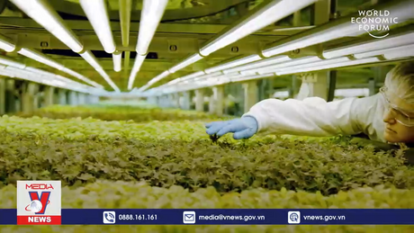 Những dấu ấn trong hợp tác nông nghiệp Việt Nam - Hà Lan