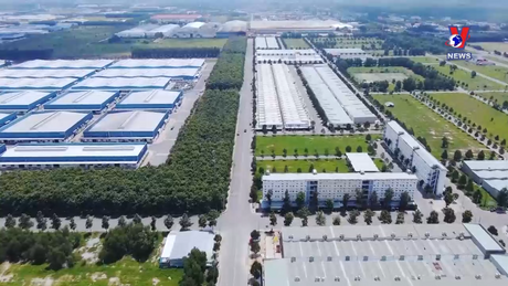 Bản tin tiếng Anh ngày 03/11/2023