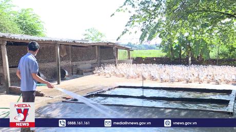 Nông dân Bắc Ninh ứng dụng khoa học vào sản xuất