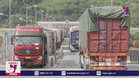 Thí điểm vận chuyển hàng Xuất – Nhập khẩu trên 1 phương tiện