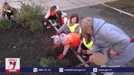 Hàng triệu bông tulip chữa lành