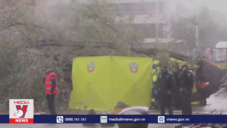 Bão Ciara gây thiệt hại cho nhiều nước Tây Âu