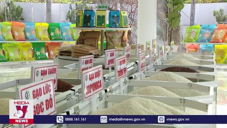Hỗ trợ doanh nghiệp xuất khẩu gạo sang Trung Quốc