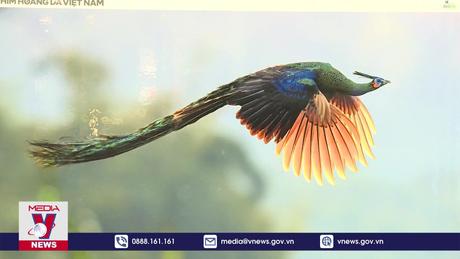 Bỏ quy định dừng nhập khẩu động vật hoang dã