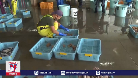 Sức mạnh của tiêu dùng nội địa