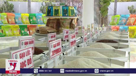 Giá gạo Việt tăng cao nhất lịch sử