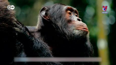 Tạp chí toàn cầu số 812 ngày 06/11/2023