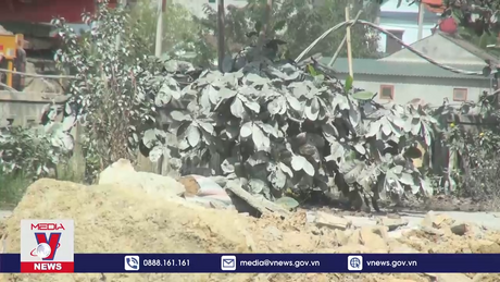 Trạm trộn bê tông xi măng gây ô nhiễm môi trường