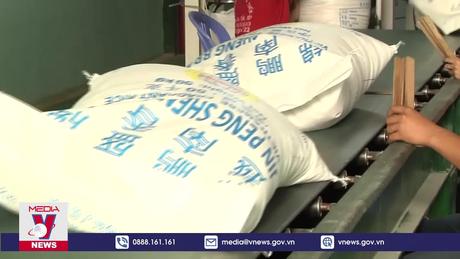 Kim ngạch xuất khẩu gạo vượt mốc cả năm 2022