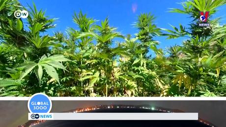 Tạp chí toàn cầu số 813 ngày 07/11/2023