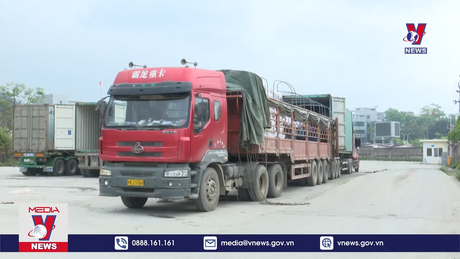 Bản tin thời sự 18h ngày 07/11/2023