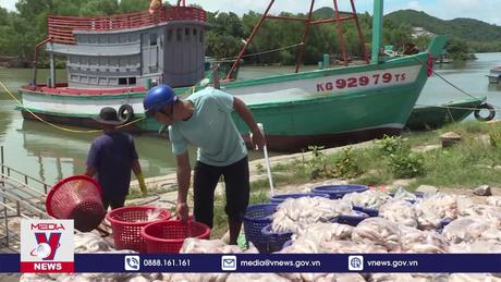 Quyết tâm gỡ cảnh báo “thẻ vàng” của EC