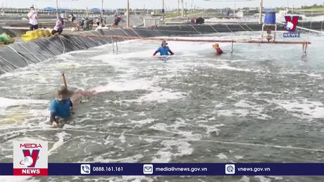 Tôm Việt Nam nguy cơ bị Mỹ điều tra chống trợ cấp 