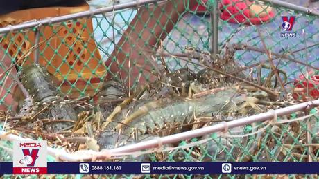 Khuyến nghị chọn đối tượng nuôi phù hợp 