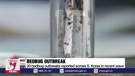 Hàn Quốc ứng phó với nạn rệp